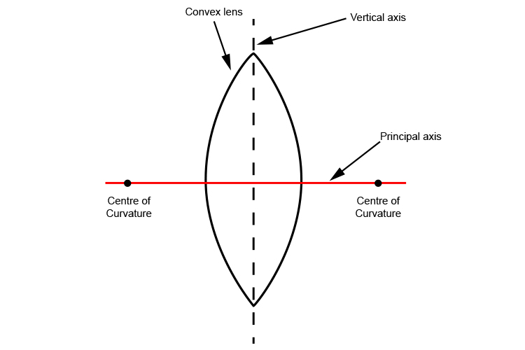 The principal axis of a lens